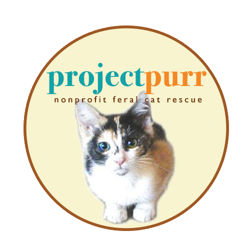 Project Purr logo